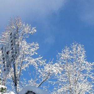 Meet your Posher, Kendall